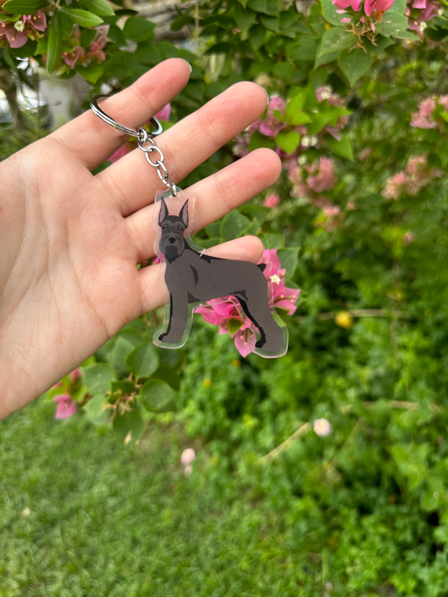 Giant Schanuzer Dog 2.5in Acrylic Keychain