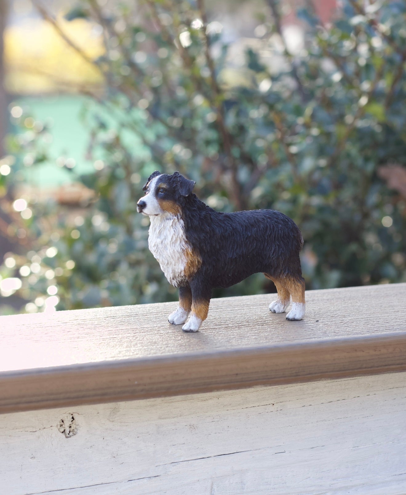Australian Sheherd Dog Figurine