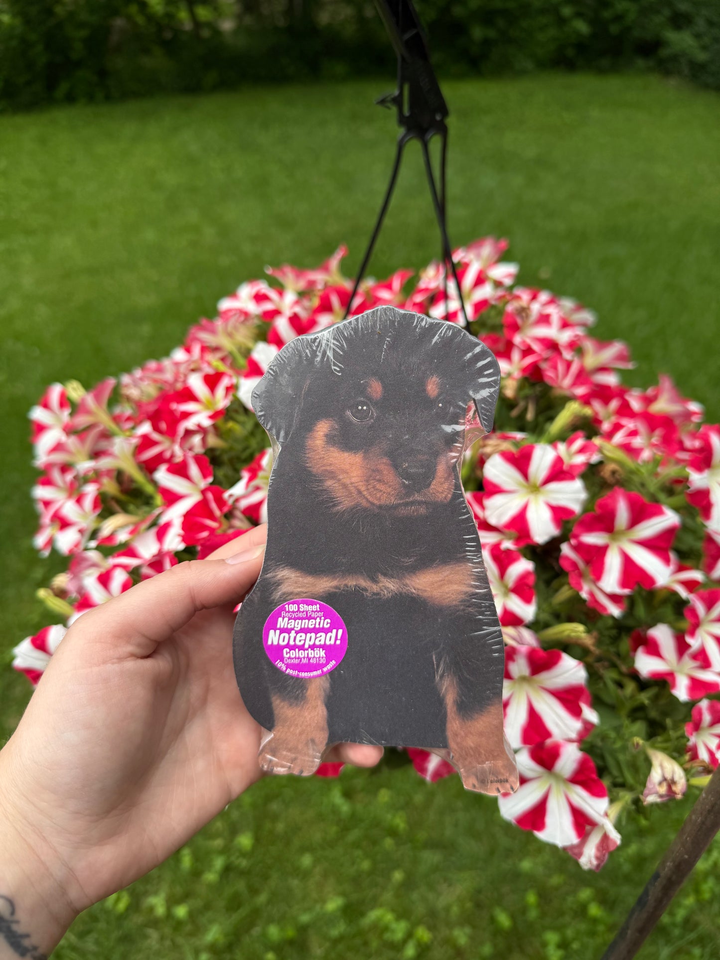 Rottweiler Dog Notepad