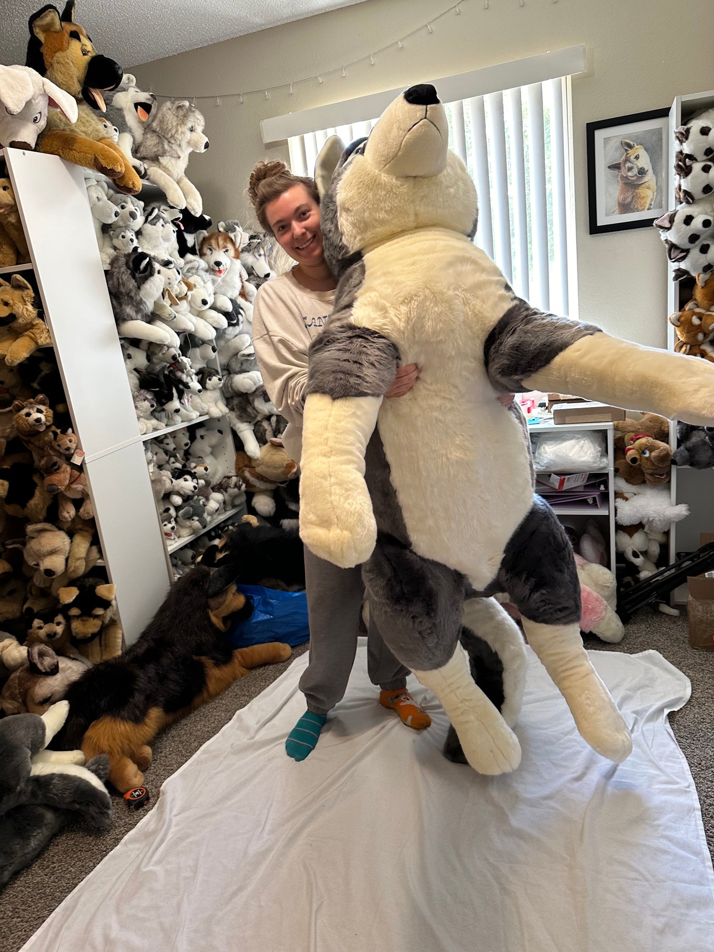 Quil the Wolf Dog Plush 72in *deposit*