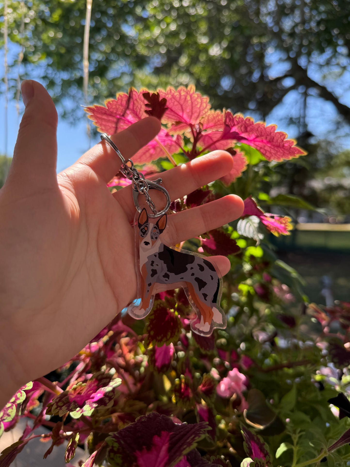 Australian Koolie Dog 2.5in Acrylic Keychain