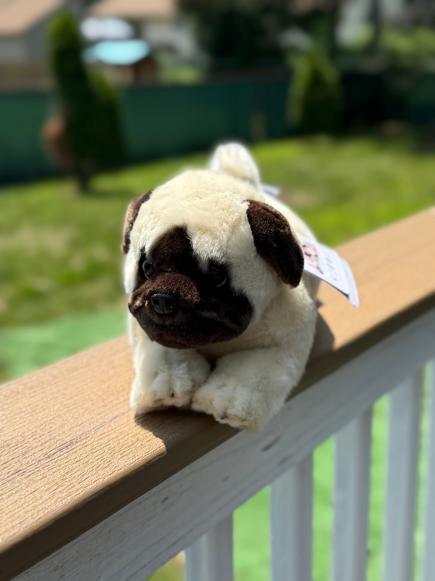 Bocchetta Pug Dog Plush 28cm