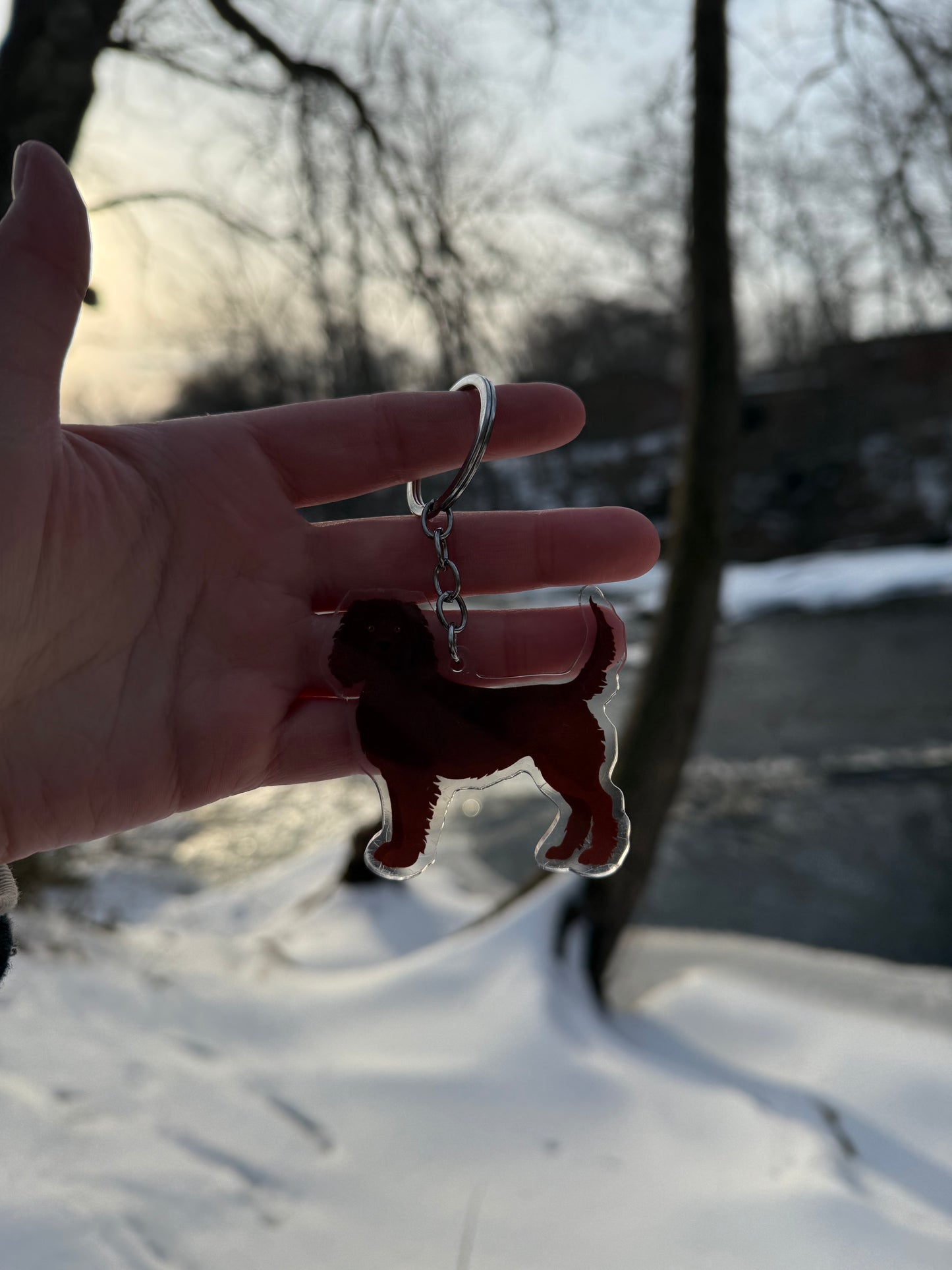 American Water Spaniel Dog 2.5in Acrylic Keychain