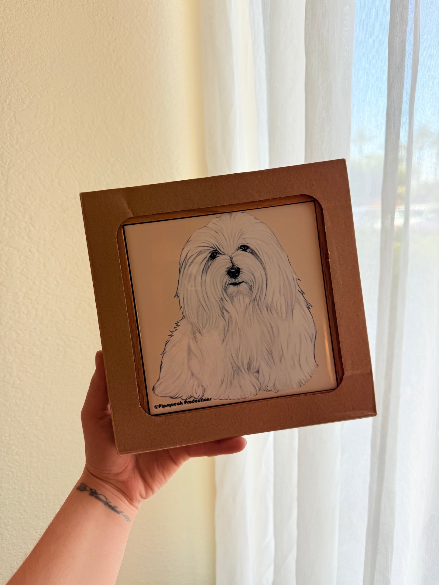 Coton De Tulear Dog Trivet