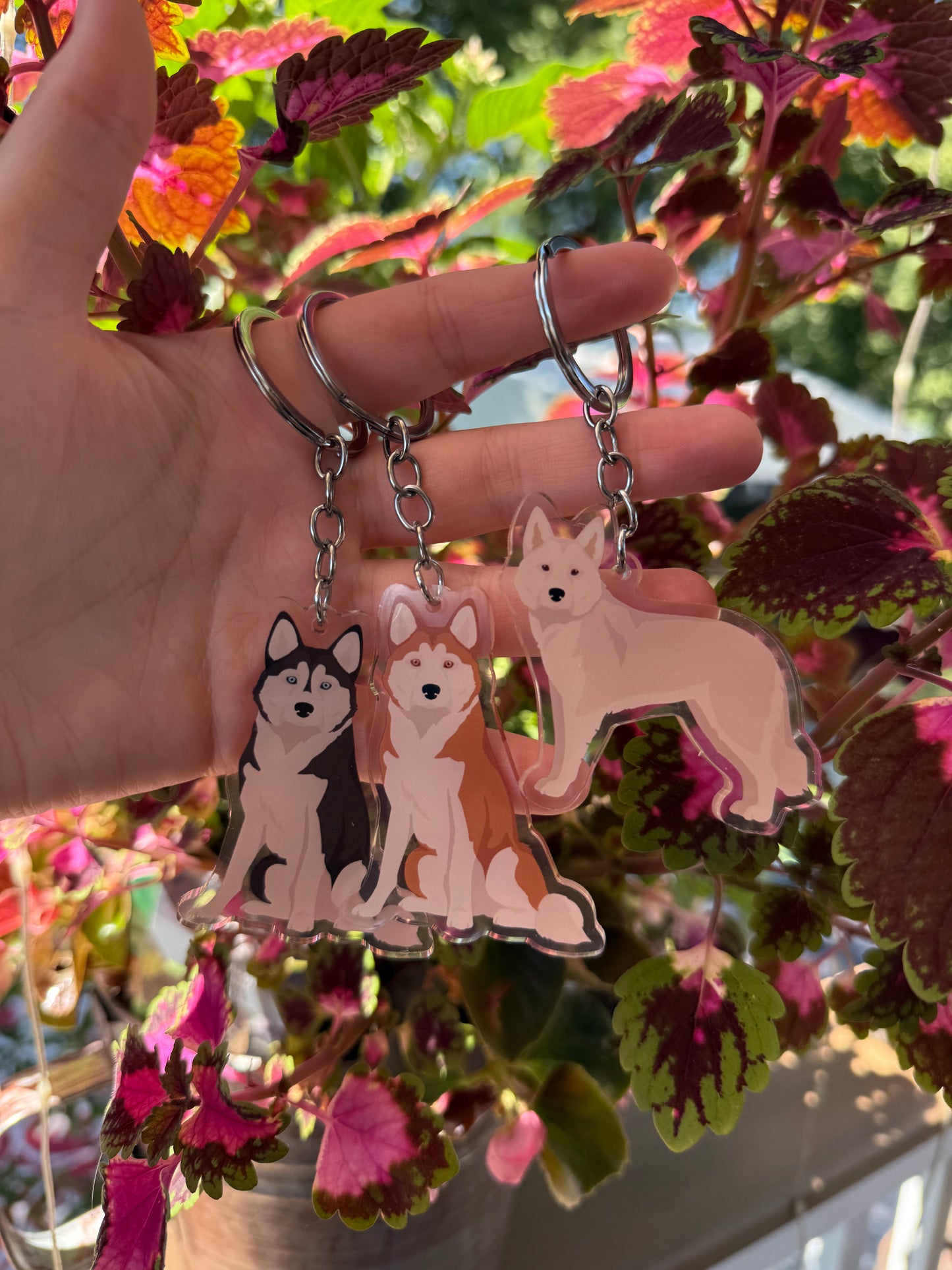 Alaskan Husky Dog 2.5in Acrylic Keychain