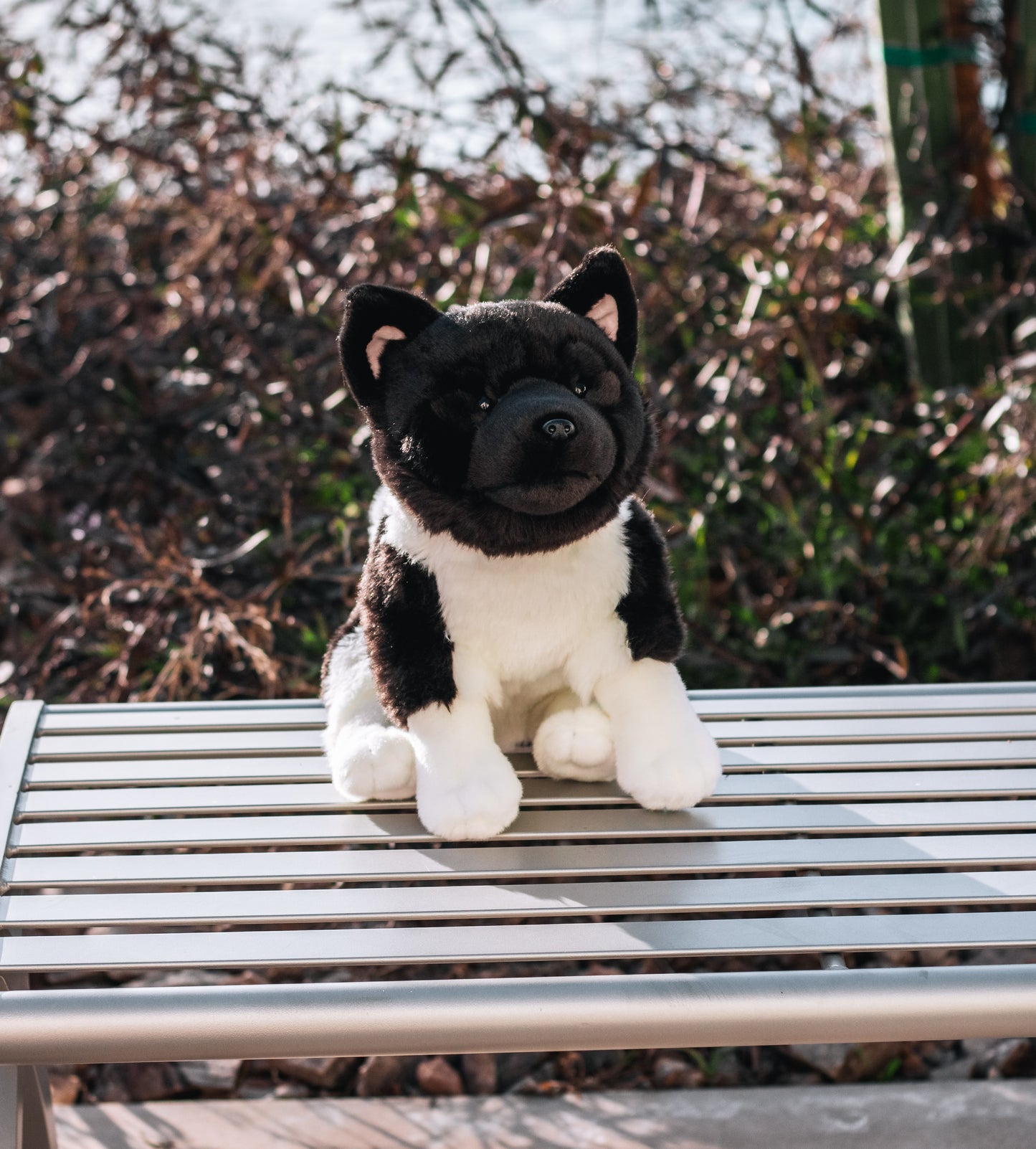 Apollo the American Akita Dog Plush 15in