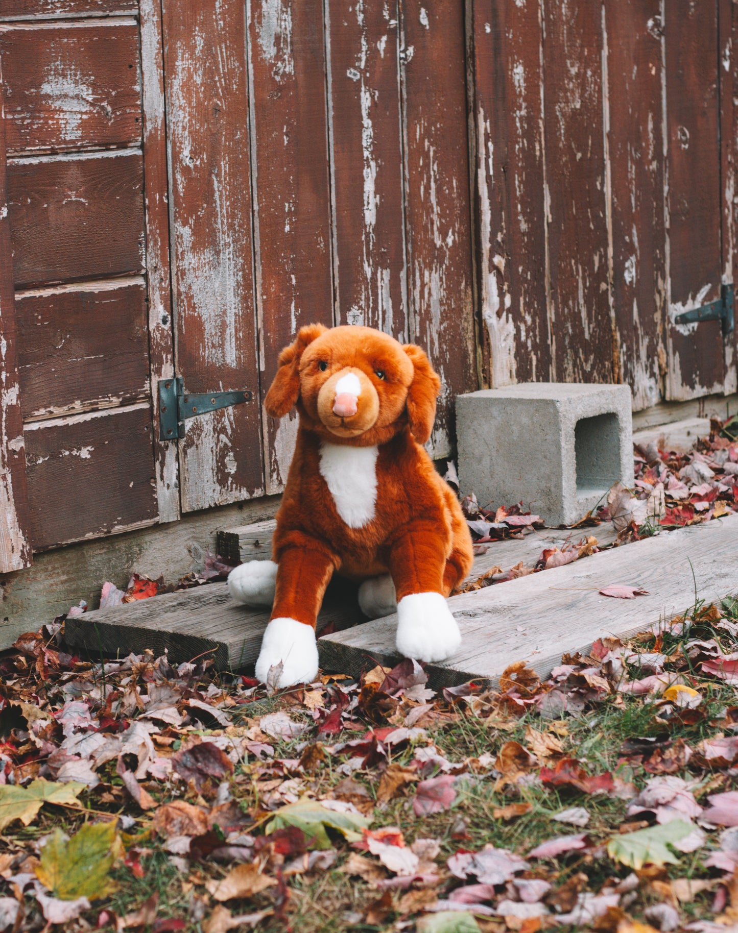 Juno the Nova Scotia Duck Tolling Retriever Plush 22in