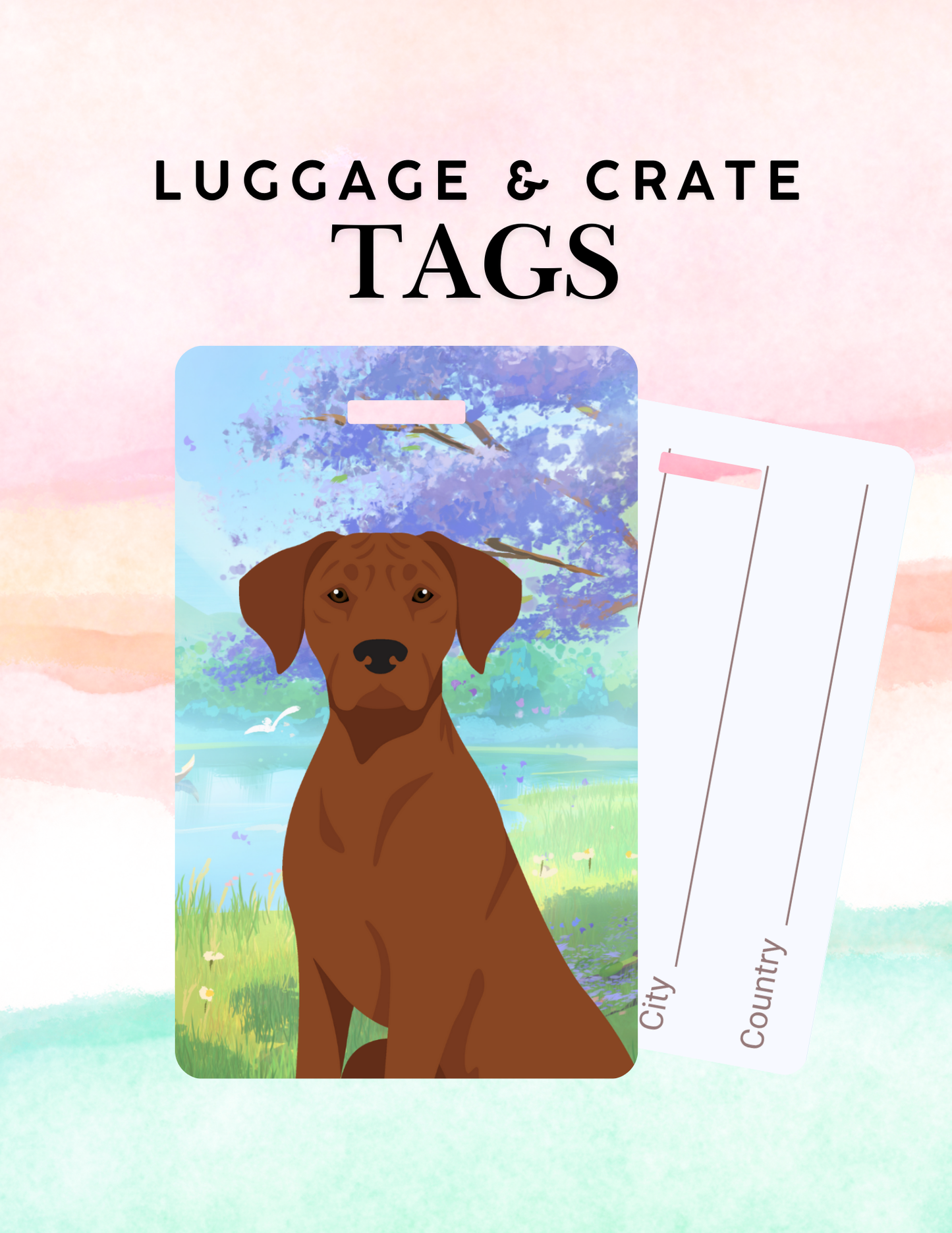 Rhodesian Ridgeback Dog Metal Luggage/ Crate Tag