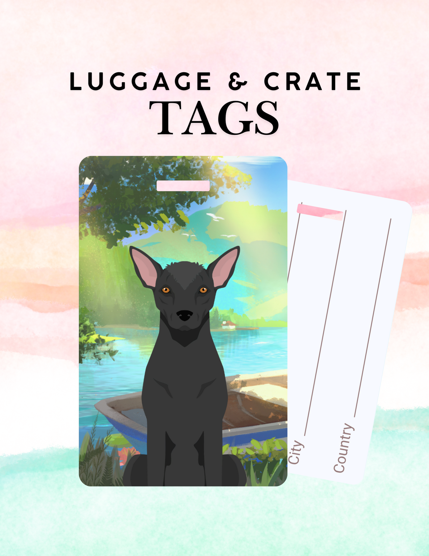 Xoloitzcuintli Dog Metal Luggage/ Crate Tag