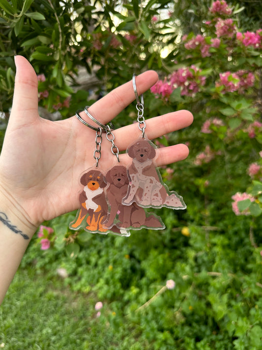 Lagotto Ramagnolo Dog 2.5in Acrylic Keychain