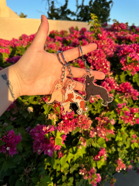 Mudi Dog 2.5in Acrylic Keychain