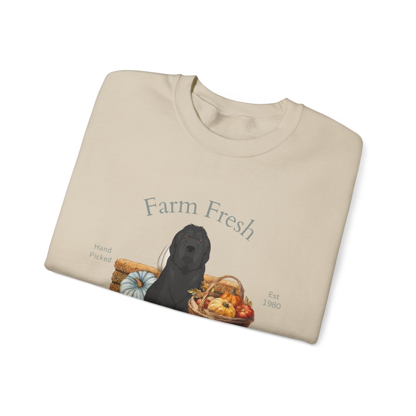 Briard Dog Fall Farm Fresh Unisex Heavy Blend Crewneck Sweatshirt