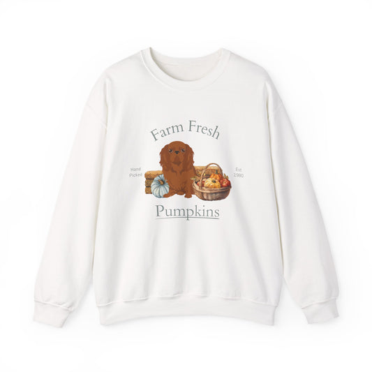 English Toy Spaniel Dog Fall Farm Fresh Unisex Heavy Blend Crewneck Sweatshirt