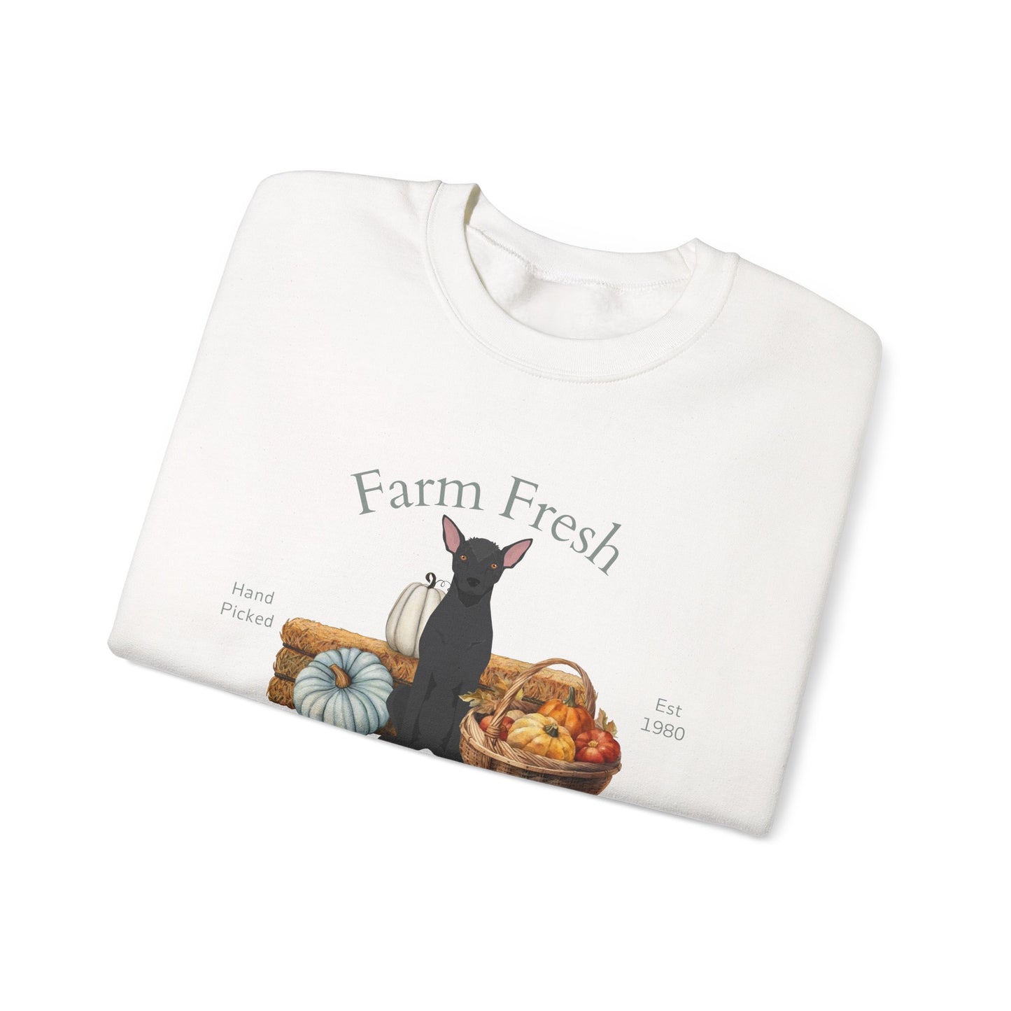 Xoloitzcuintli Dog Fall Farm Fresh Unisex Heavy Blend Crewneck Sweatshirt