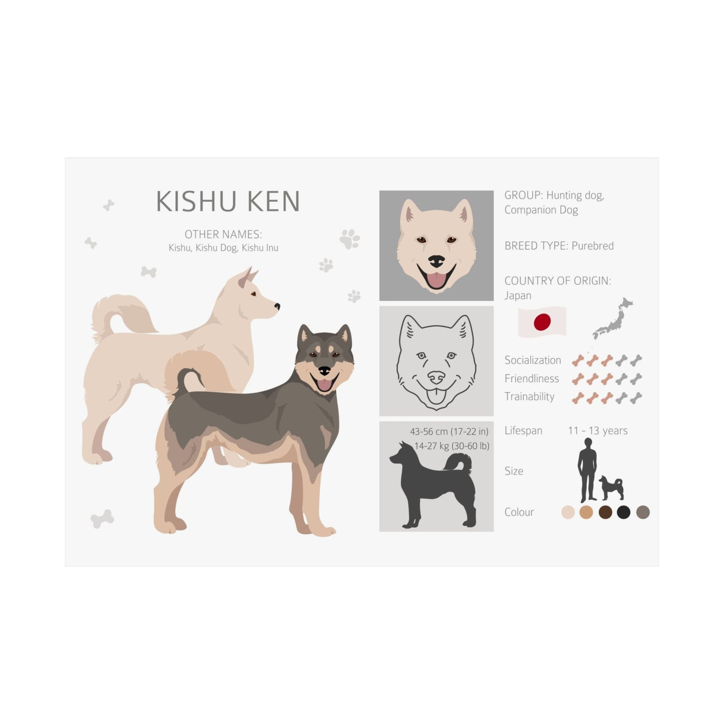 Kishu Ken Dog Matte Horizontal Posters 16X11
