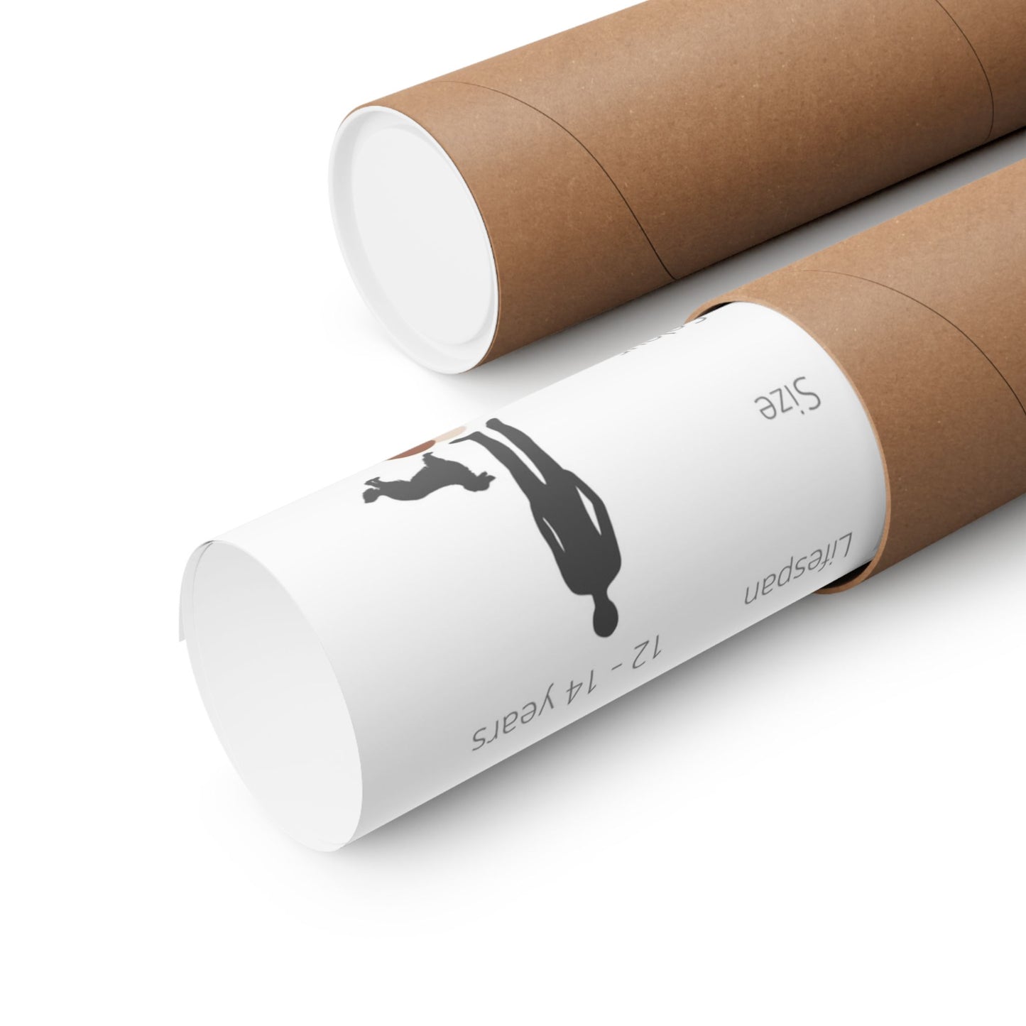 Kooikerhondje Dog Matte Horizontal Posters 16X11