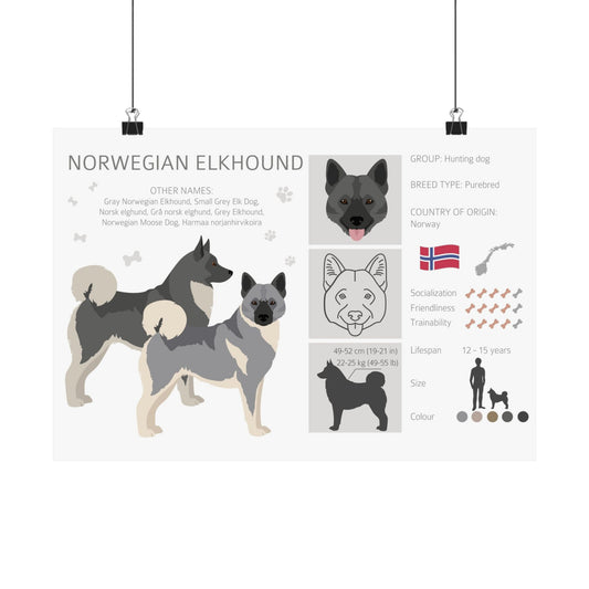 Norwegian Elkhound Dog Matte Horizontal Posters 16X11