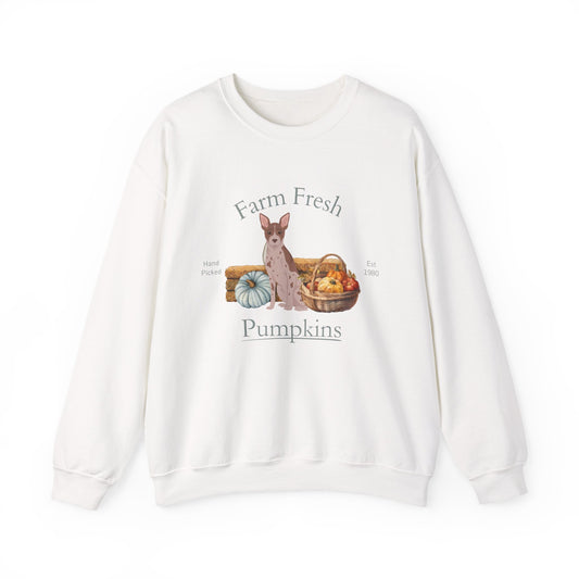 American Hairless Terrier Dog Fall Farm Fresh Unisex Heavy Blend Crewneck Sweatshirt