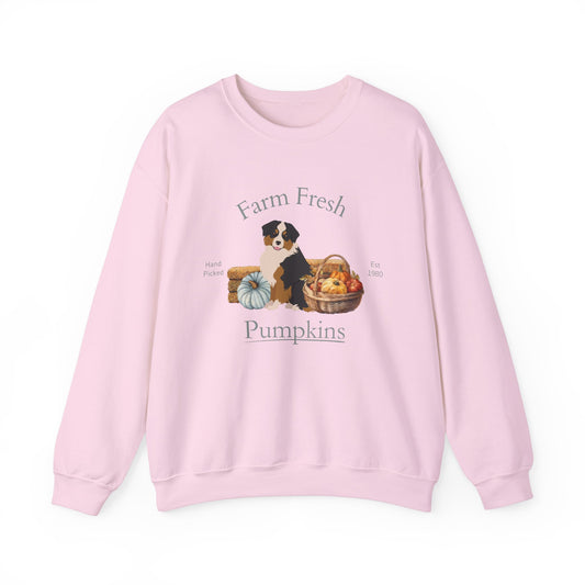 Mini Australian Shepherd Dog Fall Halloween Unisex Heavy Blend Crewneck Sweatshirt