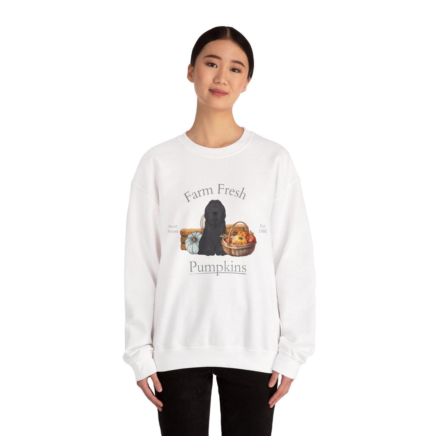 Briard Dog Fall Farm Fresh Unisex Heavy Blend Crewneck Sweatshirt