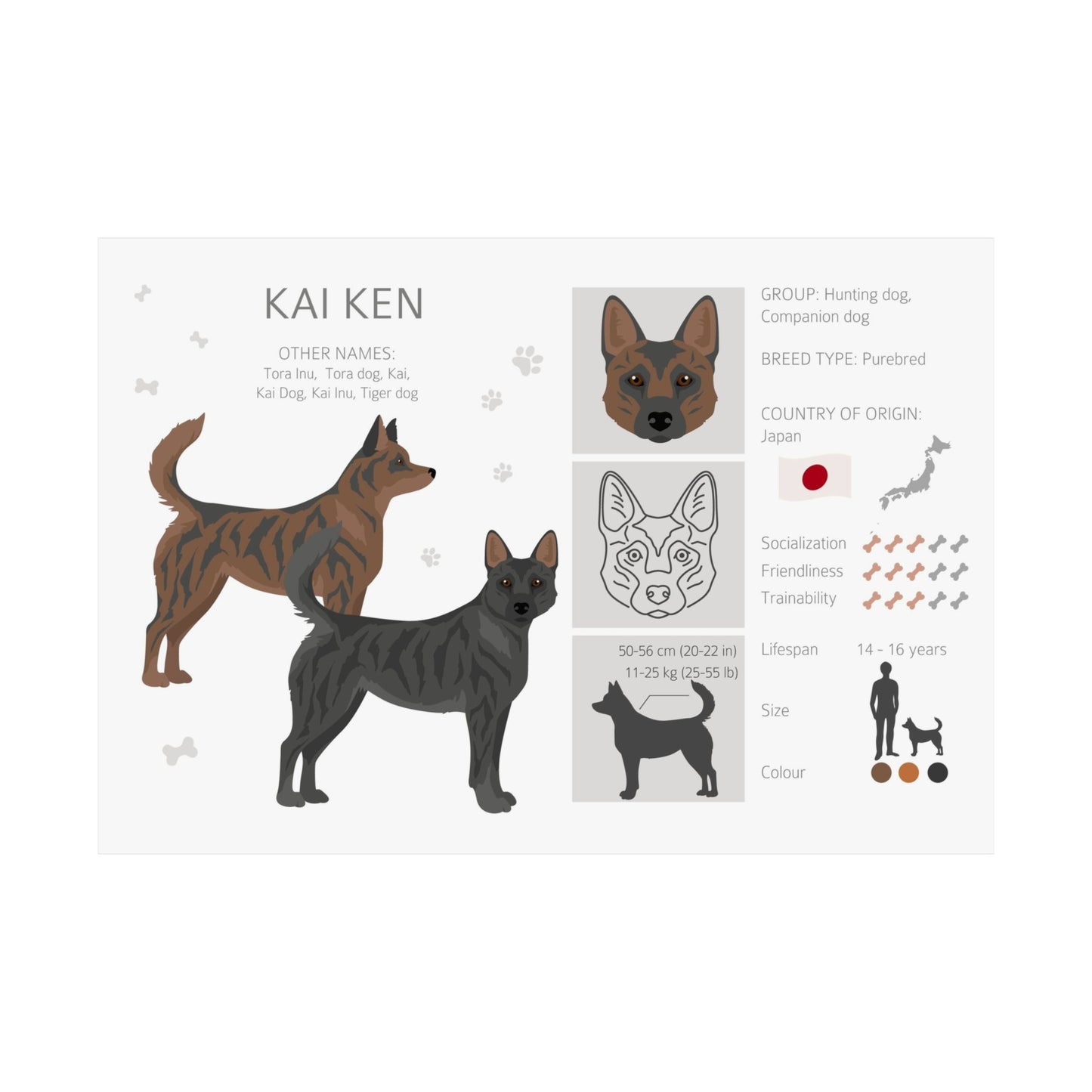 Kai Ken Dog Matte Horizontal Posters 16X11