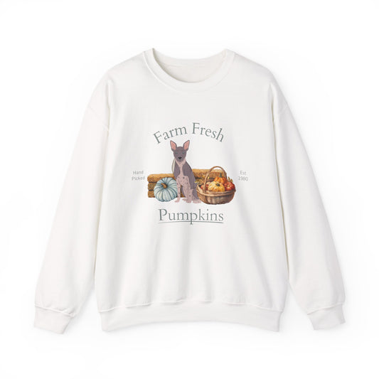 American Hairless Terrier Dog Fall Farm Fresh Unisex Heavy Blend Crewneck Sweatshirt