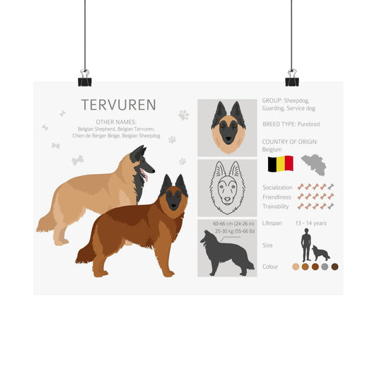 Belgian Tervuren Dog Matte Horizontal Posters 16X11