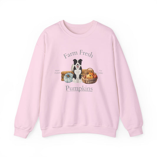 Border Collie Dog Fall Halloween Unisex Heavy Blend Crewneck Sweatshirt