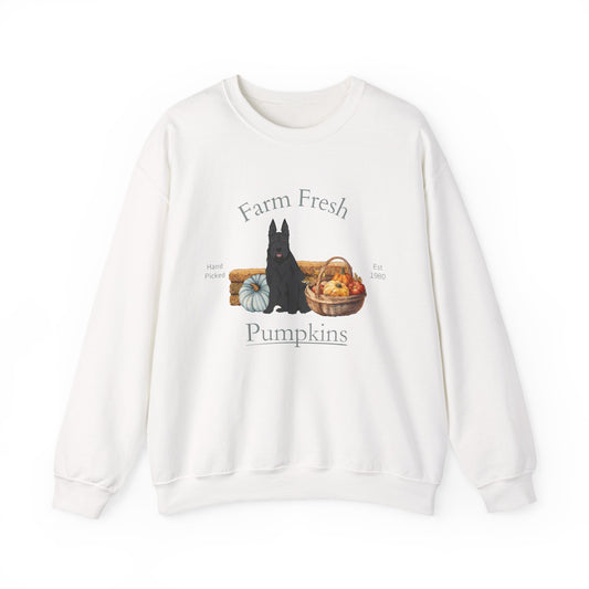 Berger Picard Dog Fall Farm Fresh Unisex Heavy Blend Crewneck Sweatshirt