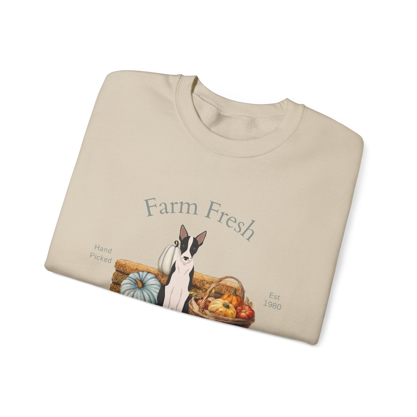 Border Collie Dog Fall Farm Fresh Unisex Heavy Blend Crewneck Sweatshirt