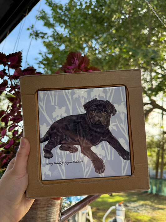 Pug Dog Trivet
