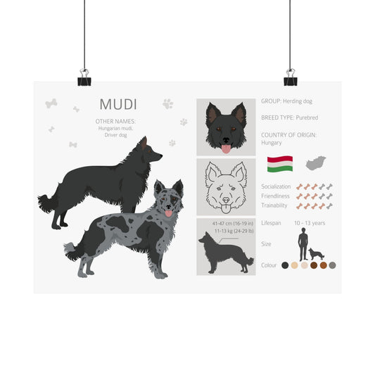 Hungarian Mudi Dog Matte Horizontal Posters 16X11