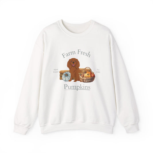 Cavalier King Charles Spaniel Dog Fall Farm Fresh Unisex Heavy Blend Crewneck Sweatshirt