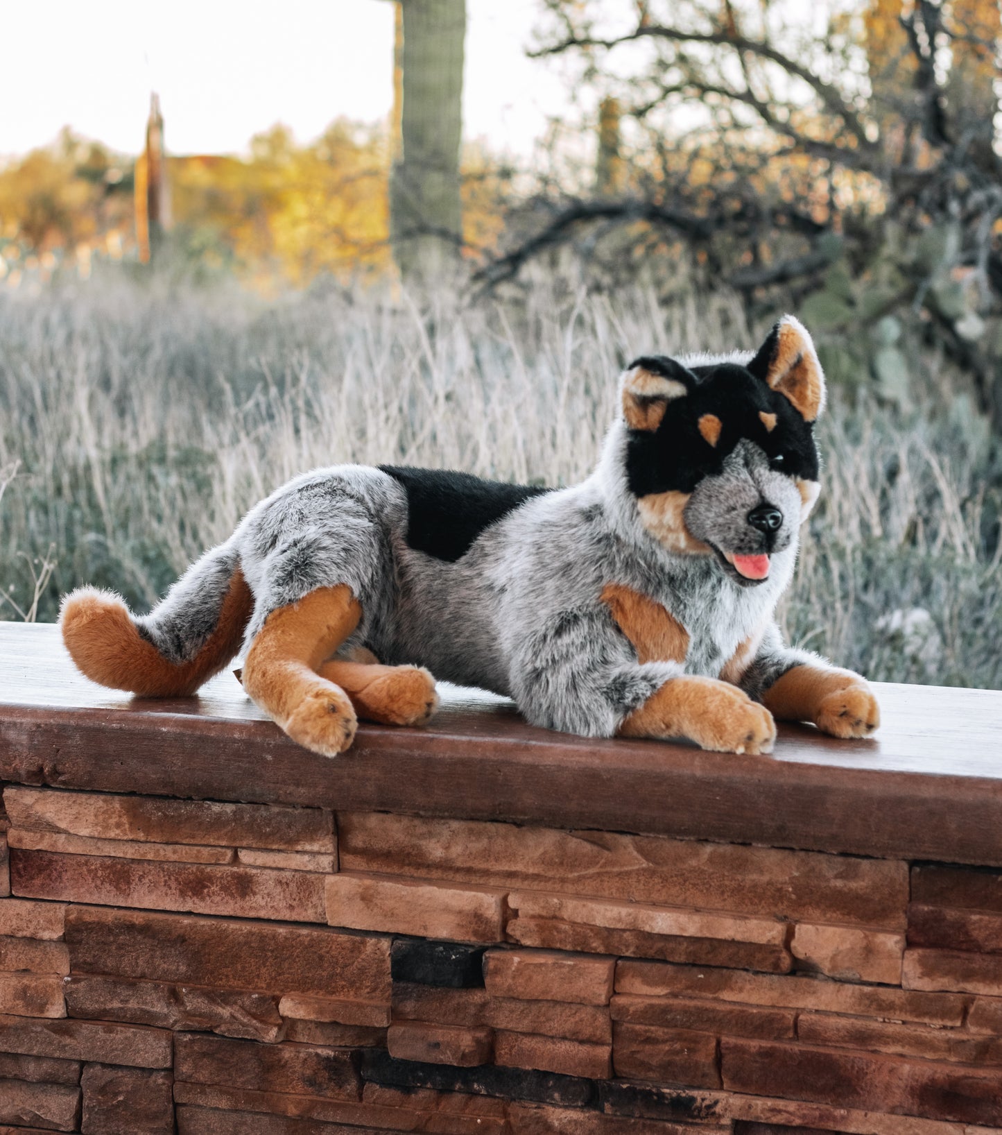 Bocchetta Australian Cattle Dog Plush 62cm