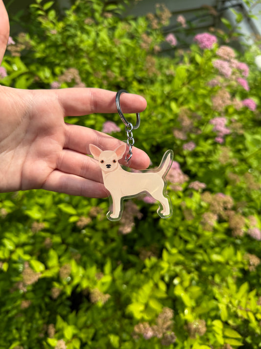 Chihuahua Dog 2.5in Acrylic Keychain