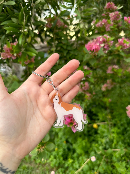 Spinone Italiano Dog 2.5in Acrylic Keychain