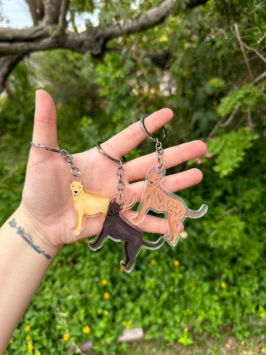 Phu Quoc Ridgeback Dog 2.5in Acrylic Keychain