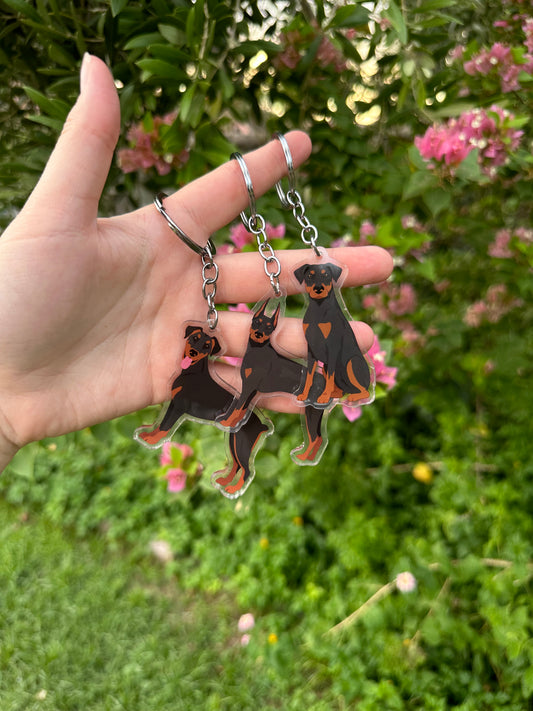 Doberman Pinscher Dog 2.5in Acrylic Keychain