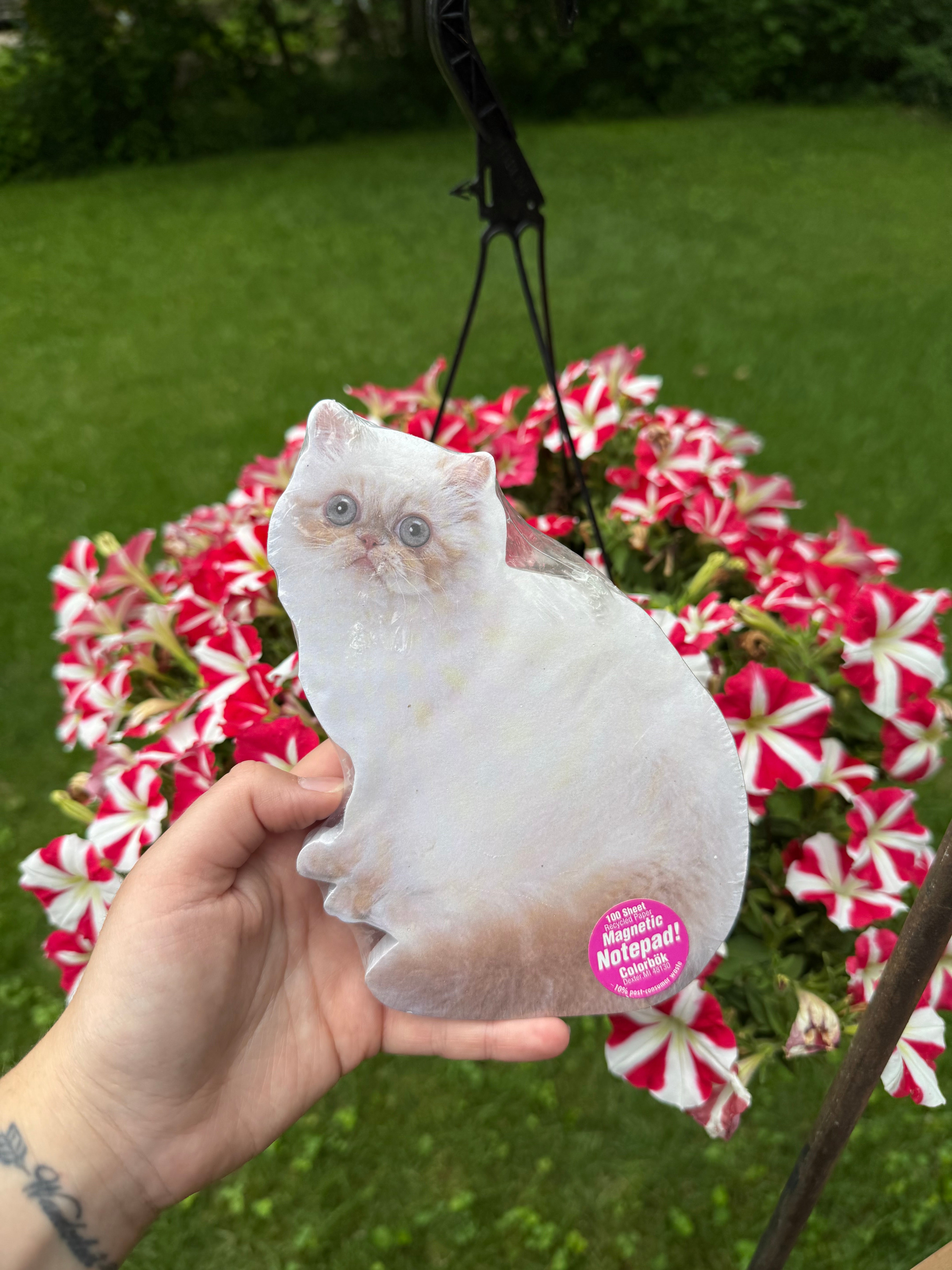 Cat Notepad – Prime Shiba Shop