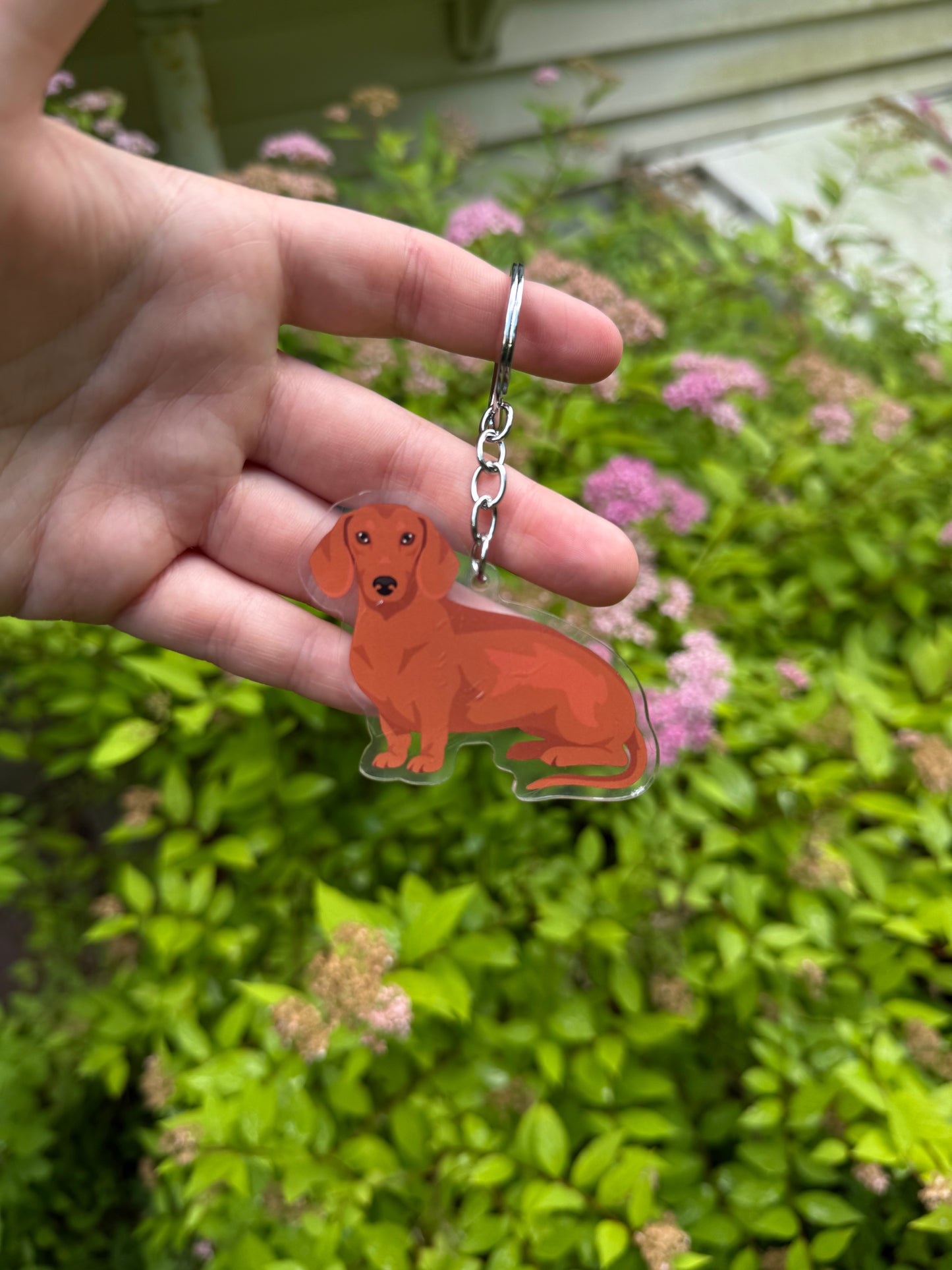 Dachshund Dog 2.5in Acrylic Keychain