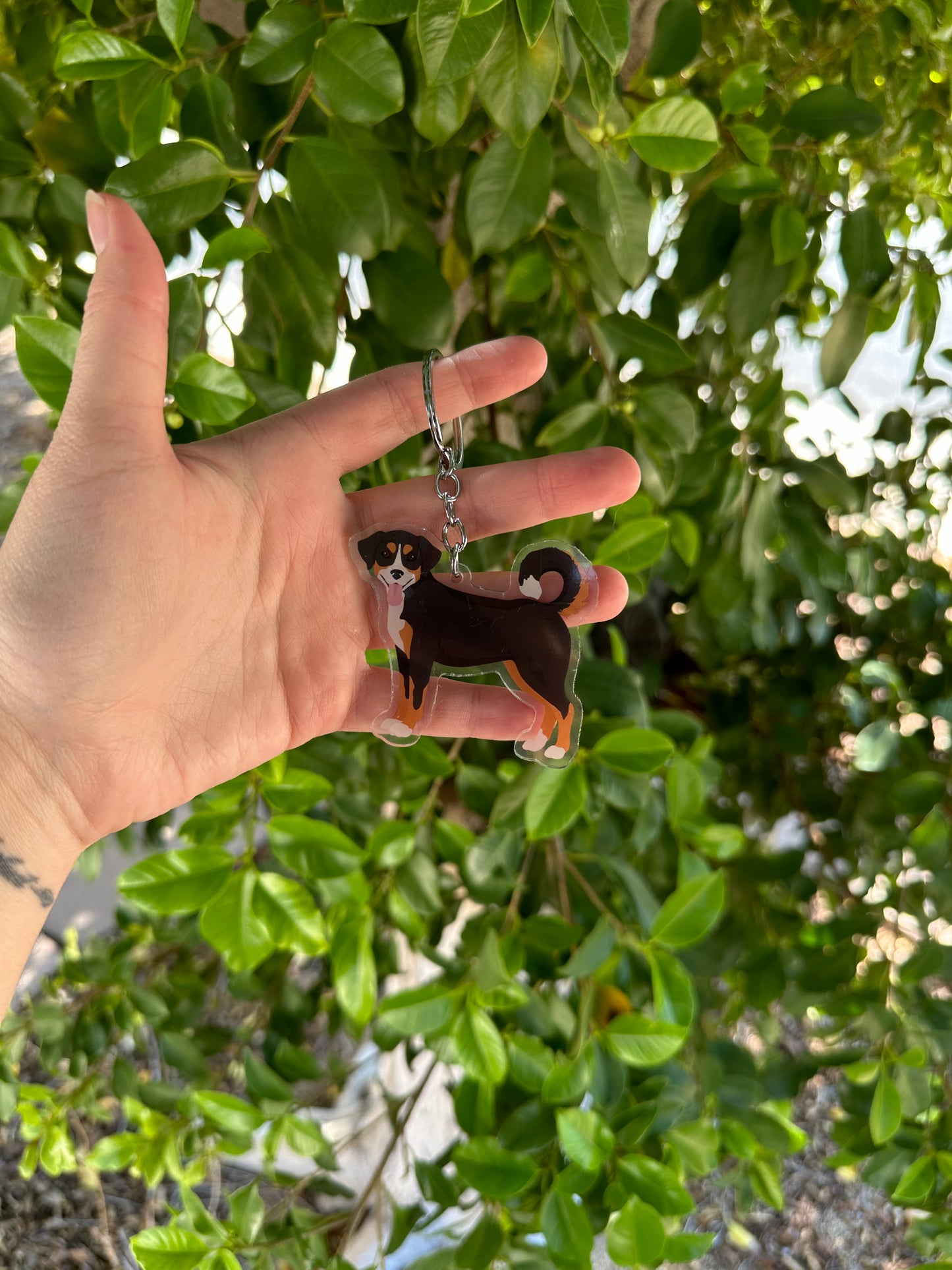 Appenzeller Dog 2.5in Acrylic Keychain
