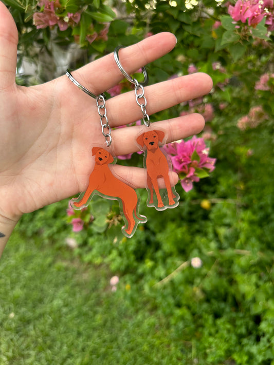 Rhodesian Ridgeback Dog 2.5in Acrylic Keychain