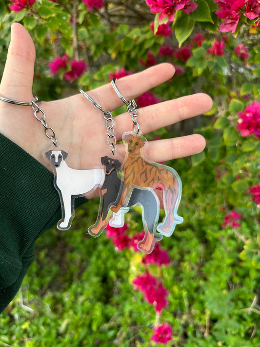 Azawakh Dog 2.5in Acrylic Keychain