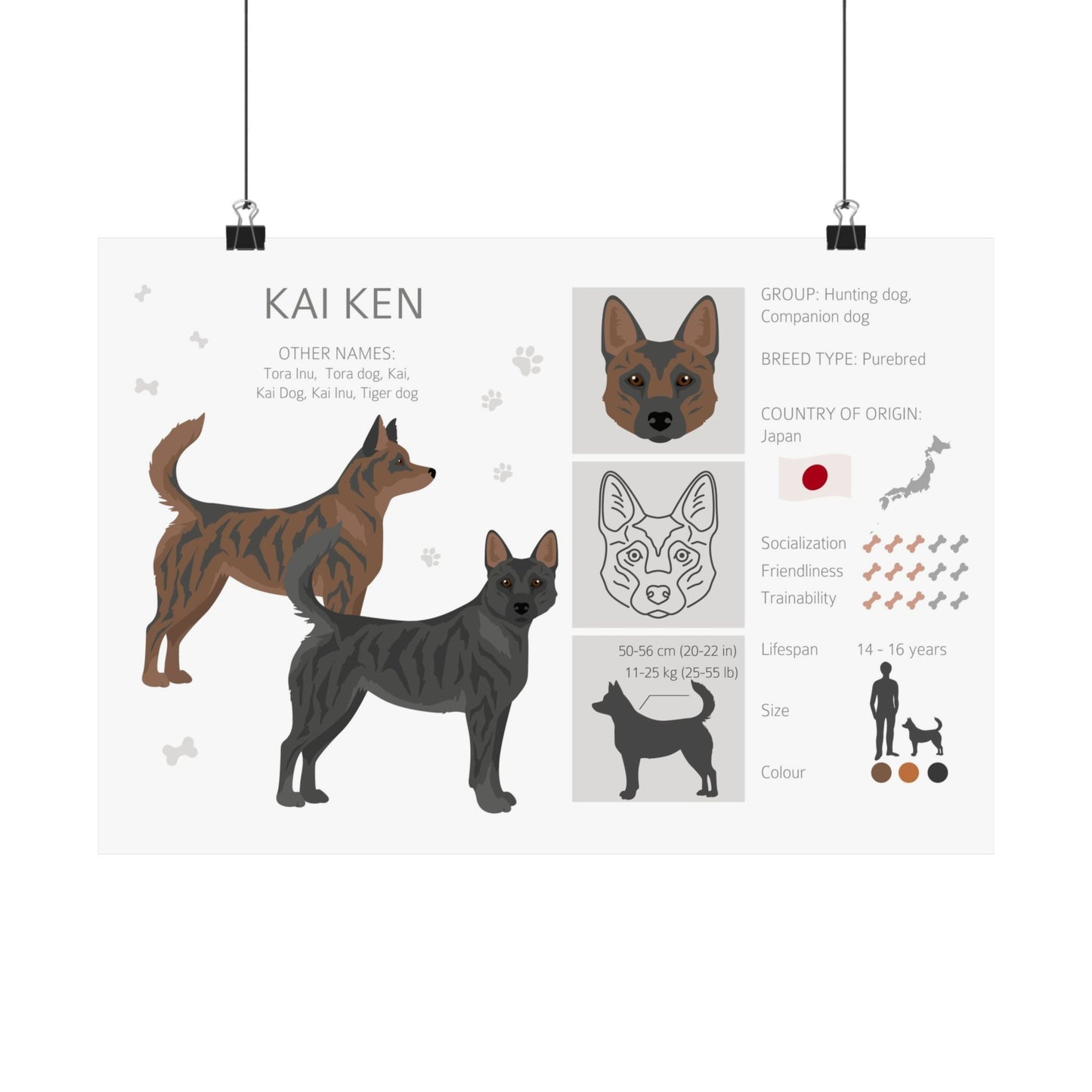 Kai Ken Dog Matte Horizontal Posters 16X11