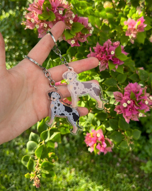 Catahoula Leopard Dog 2.5in Acrylic Keychain