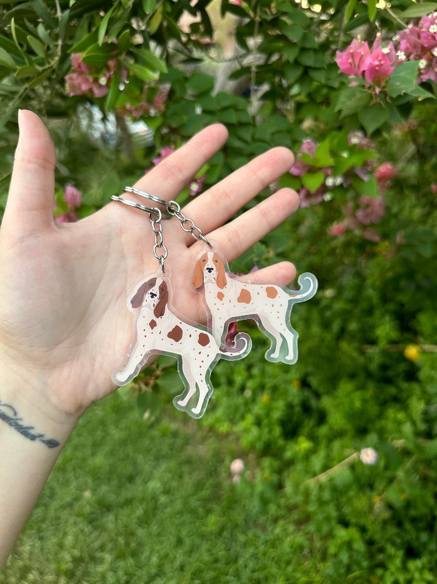 Bracco Italiano Dog 2.5in Acrylic Keychain