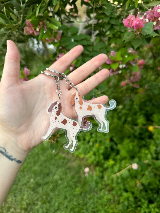 Bracco Italiano Dog 2.5in Acrylic Keychain