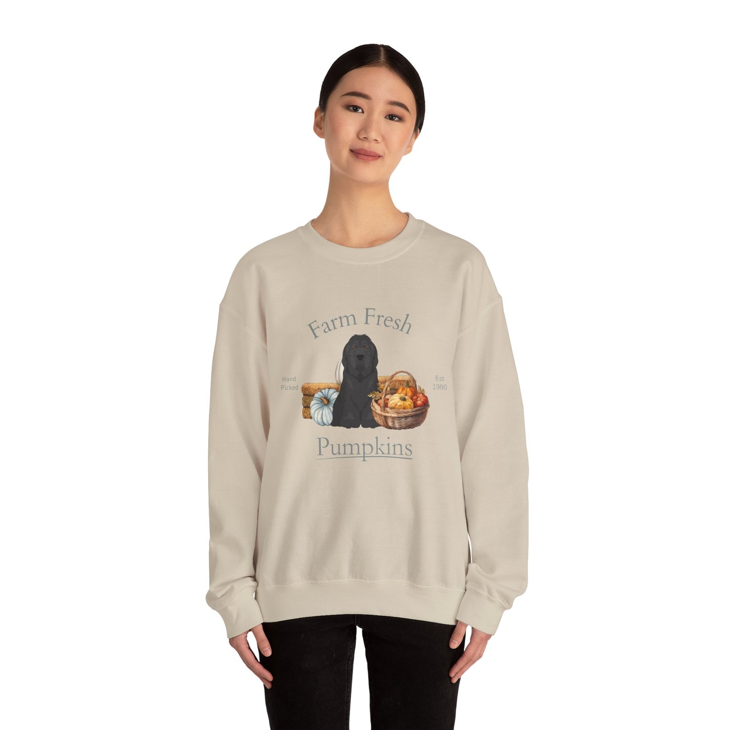 Briard Dog Fall Farm Fresh Unisex Heavy Blend Crewneck Sweatshirt