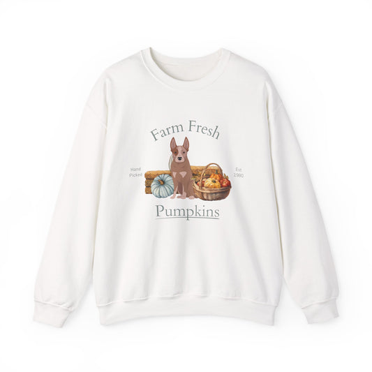 Australian Cattle Dog Dog Fall Farm Fresh Unisex Heavy Blend Crewneck Sweatshirt
