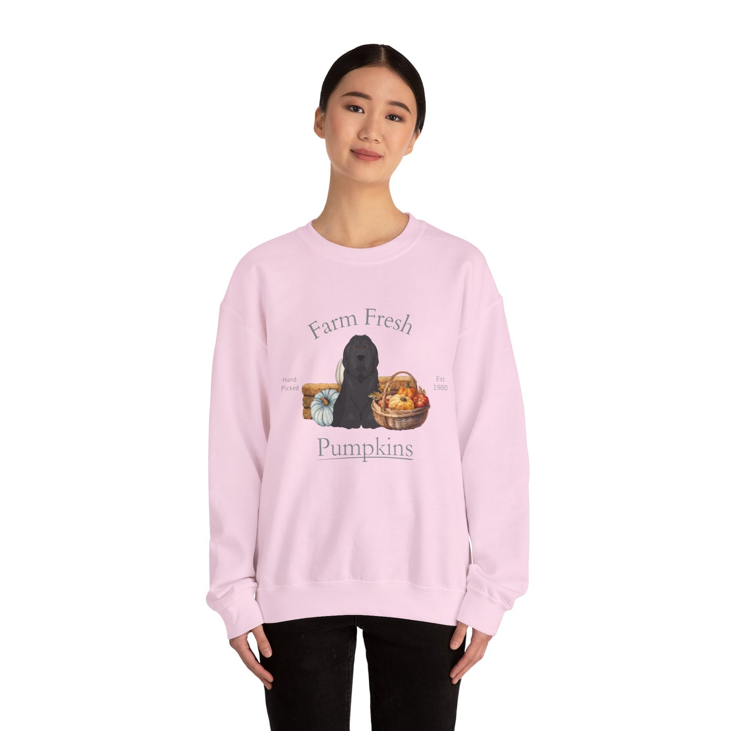 Briard Dog Fall Farm Fresh Unisex Heavy Blend Crewneck Sweatshirt